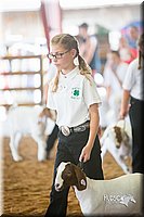 LCFair2016-1520.jpg