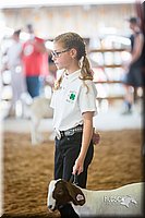 LCFair2016-1521.jpg