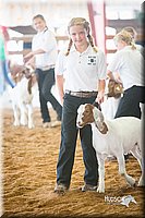 LCFair2016-1523.jpg
