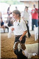 LCFair2016-1524.jpg