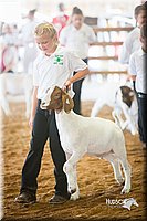 LCFair2016-1525.jpg