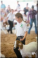 LCFair2016-1527.jpg