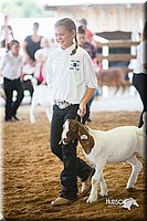 LCFair2016-1528.jpg