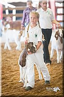 LCFair2016-1529.jpg
