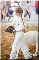 LCFair2016-1530.jpg