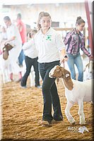 LCFair2016-1531.jpg