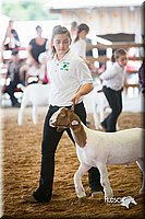 LCFair2016-1532.jpg