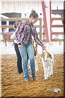 LCFair2016-1533.jpg