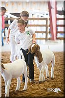 LCFair2016-1534.jpg