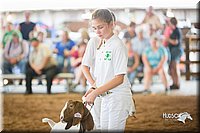 LCFair2016-1535.jpg
