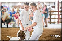 LCFair2016-1536.jpg