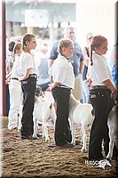 LCFair2016-1538.jpg