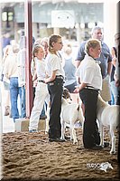 LCFair2016-1539.jpg