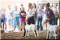 LCFair2016-1553.jpg