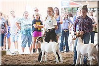 LCFair2016-1555.jpg