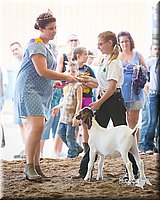 LCFair2016-1556.jpg