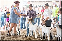 LCFair2016-1557.jpg