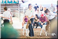 LCFair2016-1559.jpg