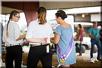 LCFair2016-1561.jpg