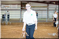 LCFair2016-1562.jpg