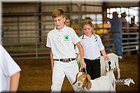 LCFair2016-1564.jpg