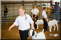 LCFair2016-1565.jpg