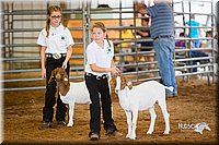 LCFair2016-1566.jpg