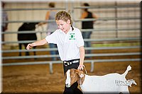 LCFair2016-1567.jpg