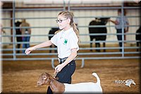 LCFair2016-1568.jpg