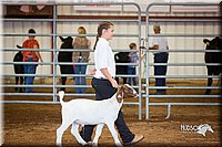 LCFair2016-1569.jpg