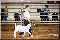LCFair2016-1570.jpg