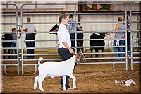 LCFair2016-1571.jpg