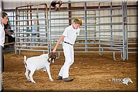 LCFair2016-1572.jpg