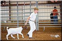 LCFair2016-1573.jpg