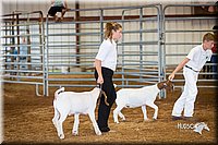 LCFair2016-1574.jpg