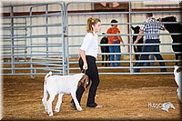 LCFair2016-1575.jpg