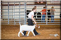 LCFair2016-1576.jpg