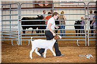 LCFair2016-1577.jpg