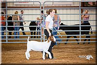 LCFair2016-1578.jpg