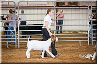 LCFair2016-1579.jpg