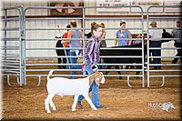 LCFair2016-1580.jpg
