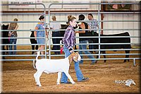 LCFair2016-1581.jpg