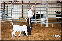 LCFair2016-1582.jpg