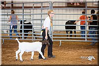 LCFair2016-1583.jpg