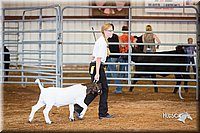 LCFair2016-1584.jpg