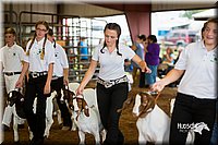 LCFair2016-1585.jpg