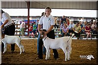 LCFair2016-1600.jpg