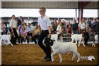 LCFair2016-1601.jpg