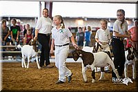 LCFair2016-1603.jpg