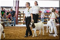LCFair2016-1605.jpg